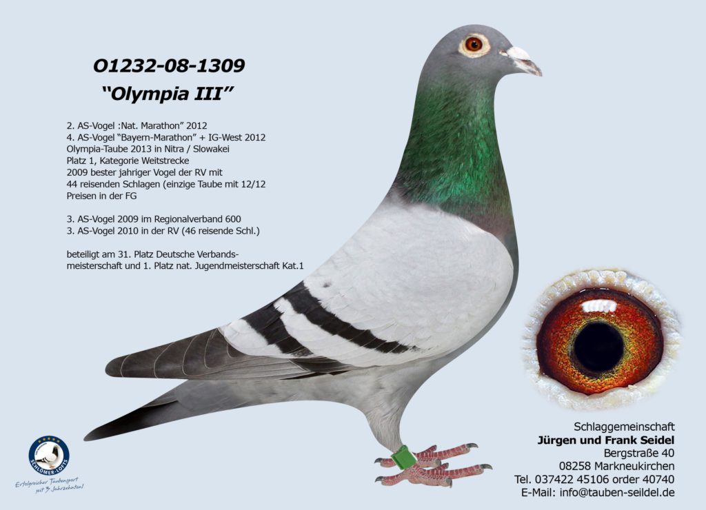 01232-08-1309V “Olympia III” Bester Vogel der Schlaggemeinschaft Seidel
